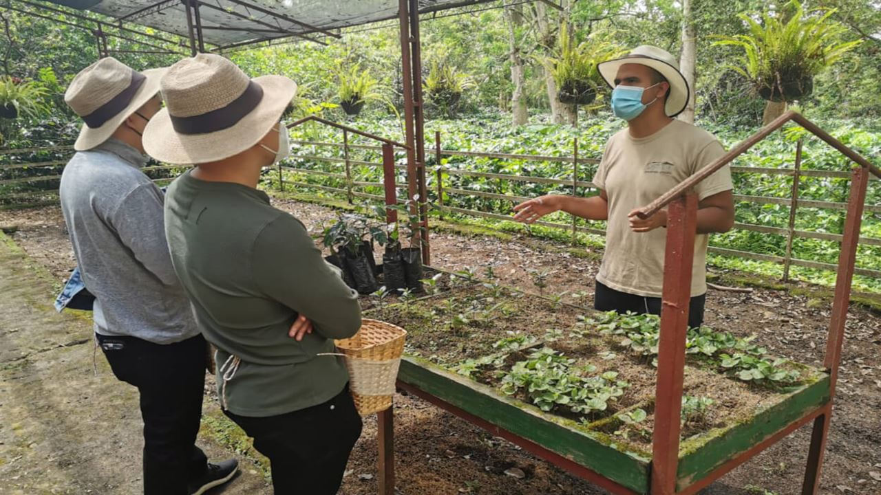 Tour Grupal A Finca Cafetera (2)