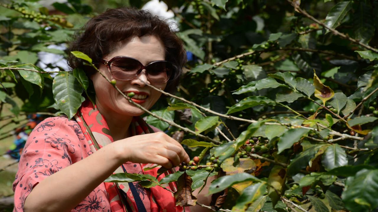 Tour Grupal A Finca Cafetera (1)