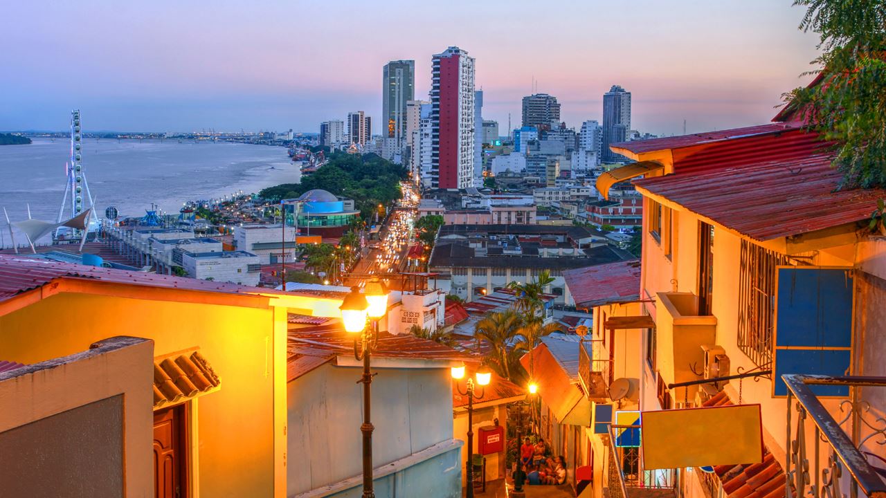 Guided Tour In The City Of Guayaquil foto 3