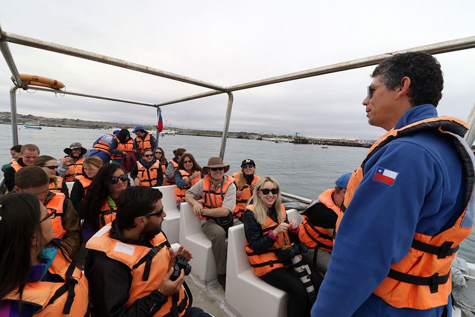 Damas Island Tour Penguin Watching foto 20