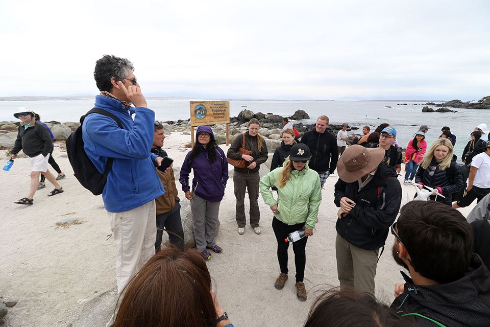 Damas Island Tour Penguin Watching foto 13