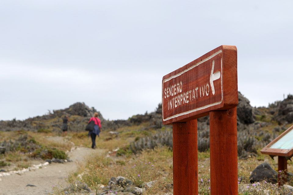 Damas Island Tour Penguin Watching foto 12