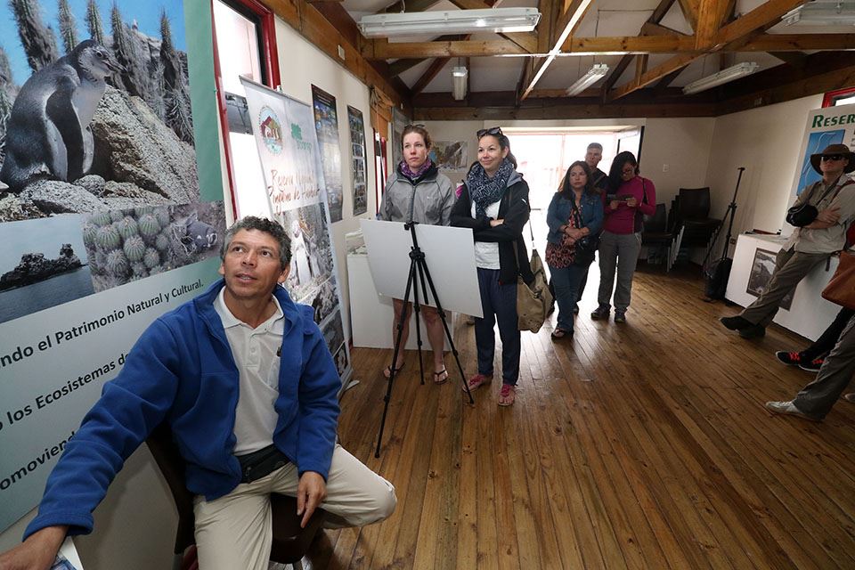 Damas Island Tour Penguin Watching foto 23