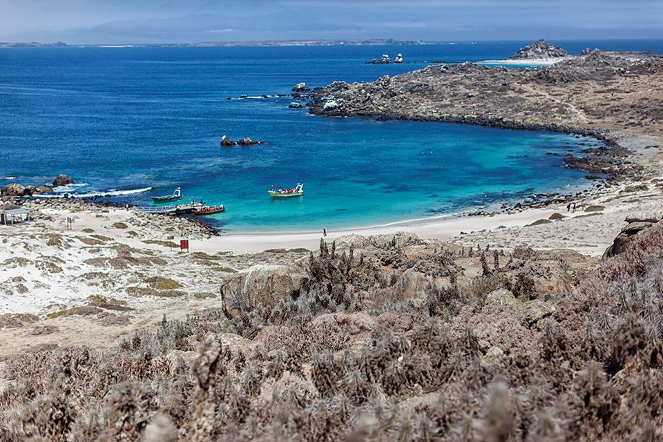 Damas Island Tour Penguin Watching foto 22