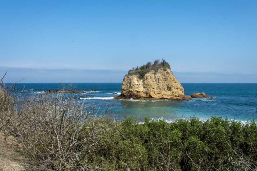 Silver Island Tour, Snorkeling And Whale Watching - Machalilla National Park foto 10