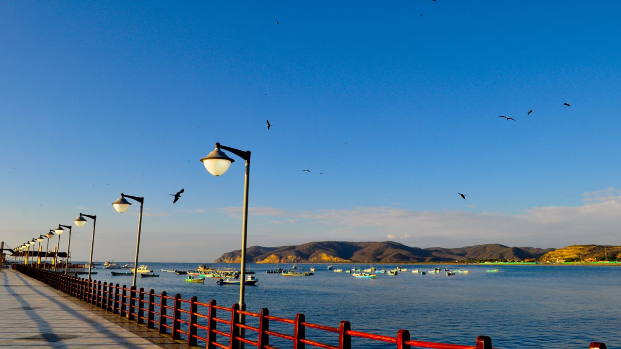 Silver Island Tour, Snorkeling And Whale Watching - Machalilla National Park foto 5