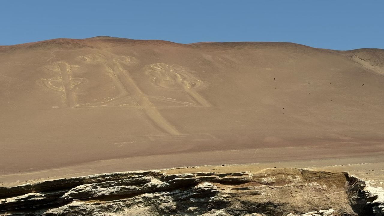 Tour Islas Ballestas Desde Puerto San Martin foto 8