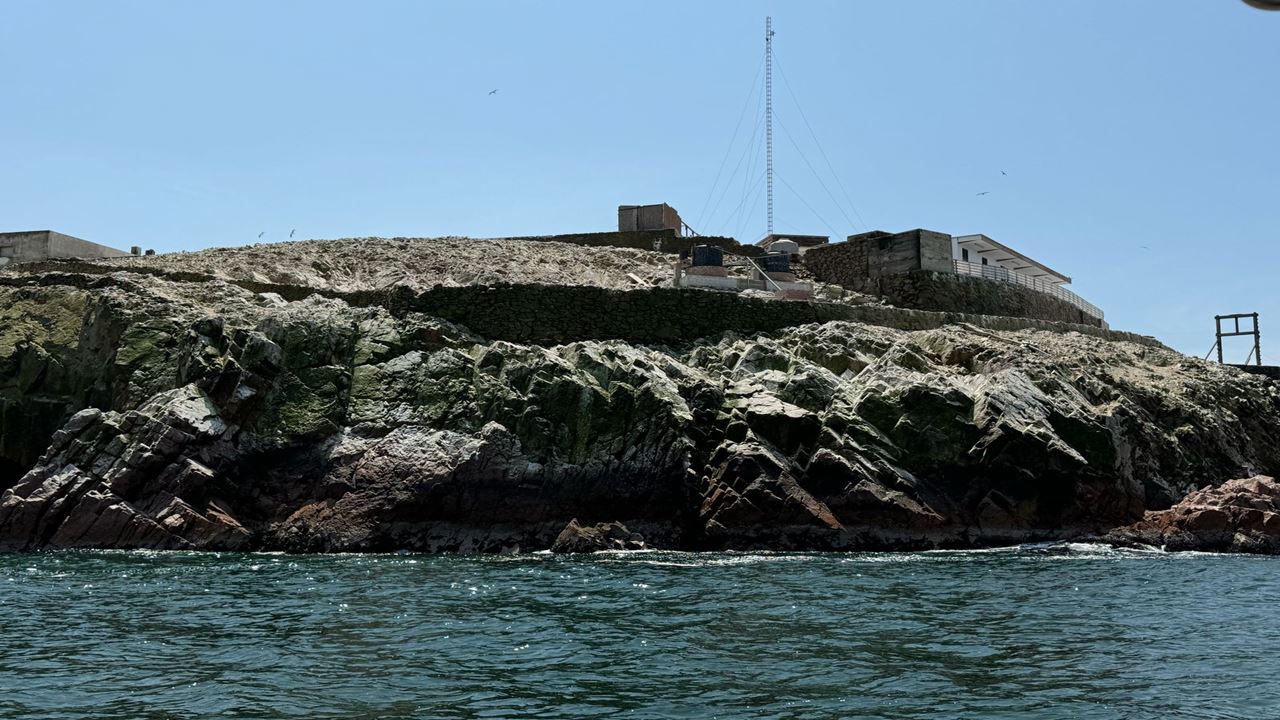 Tour Islas Ballestas Desde Puerto San Martin foto 12