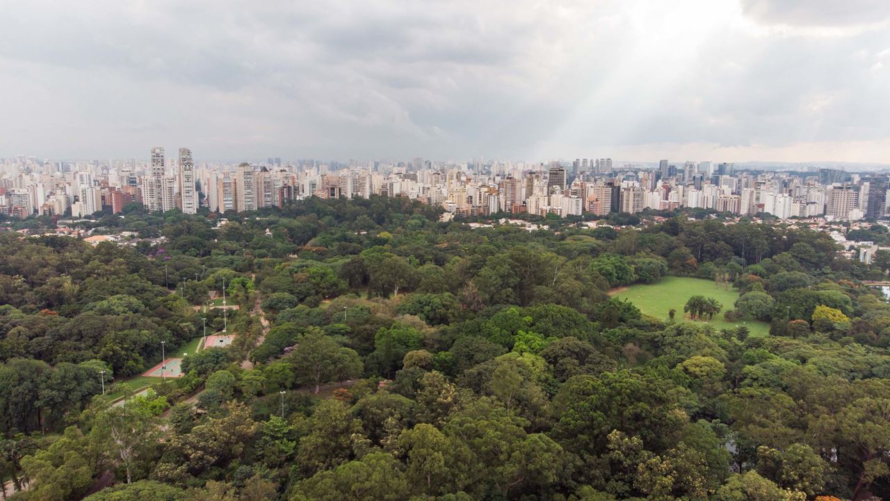 Tour Por La Ciudad De Sao Paulo foto 9