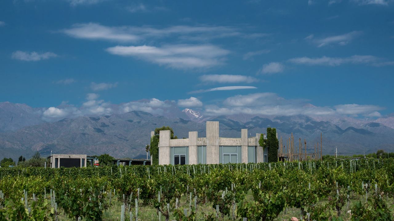Tour Privado Com Vinicultores (1)