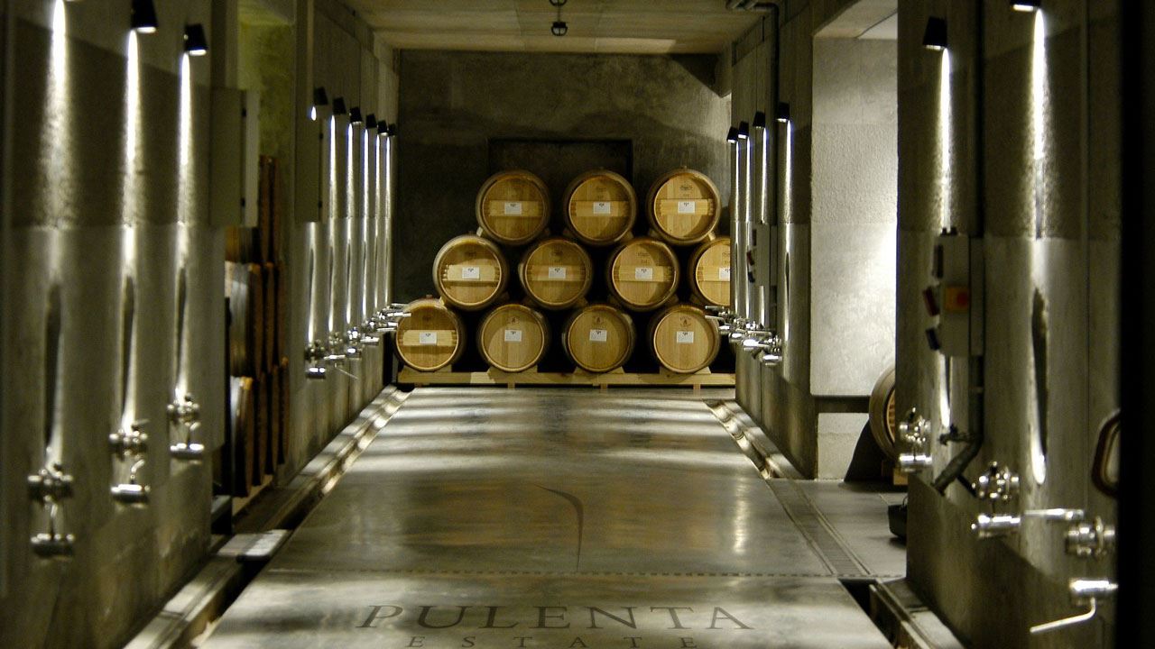 Tour Privado Com Vinicultores (3)