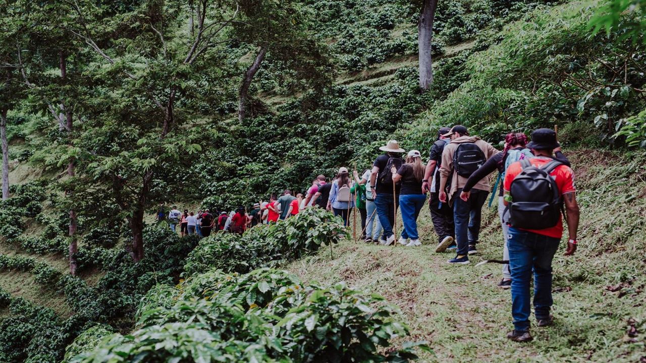 Tour De Café Tradicional foto 9