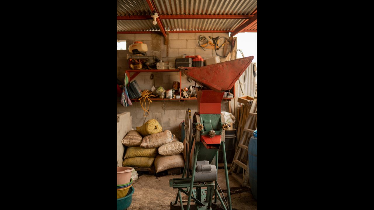 Tour De Café Tradicional foto 6