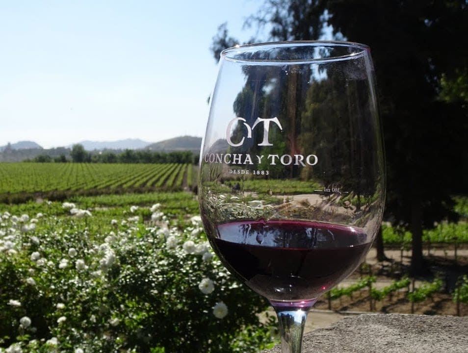 Tour Y Degustación A Viña Concha Y Toro (6)