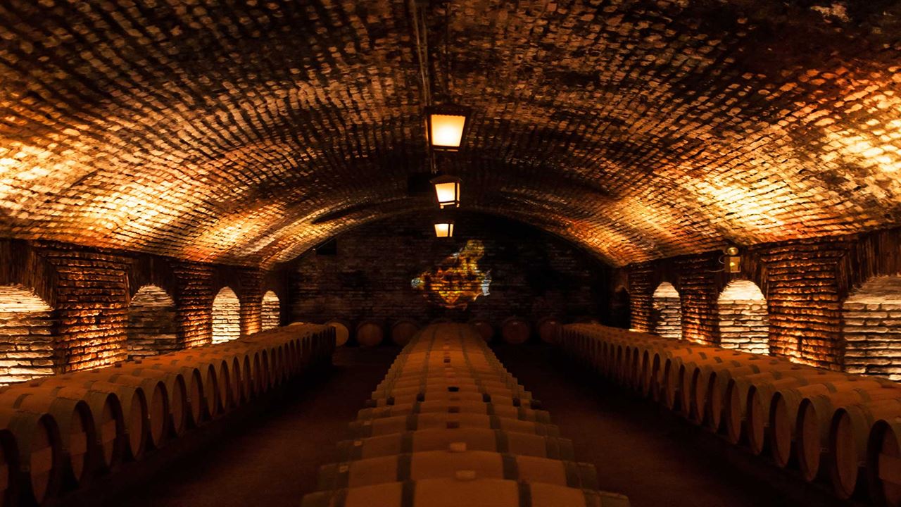 Tour Y Degustación A Viña Concha Y Toro (1)