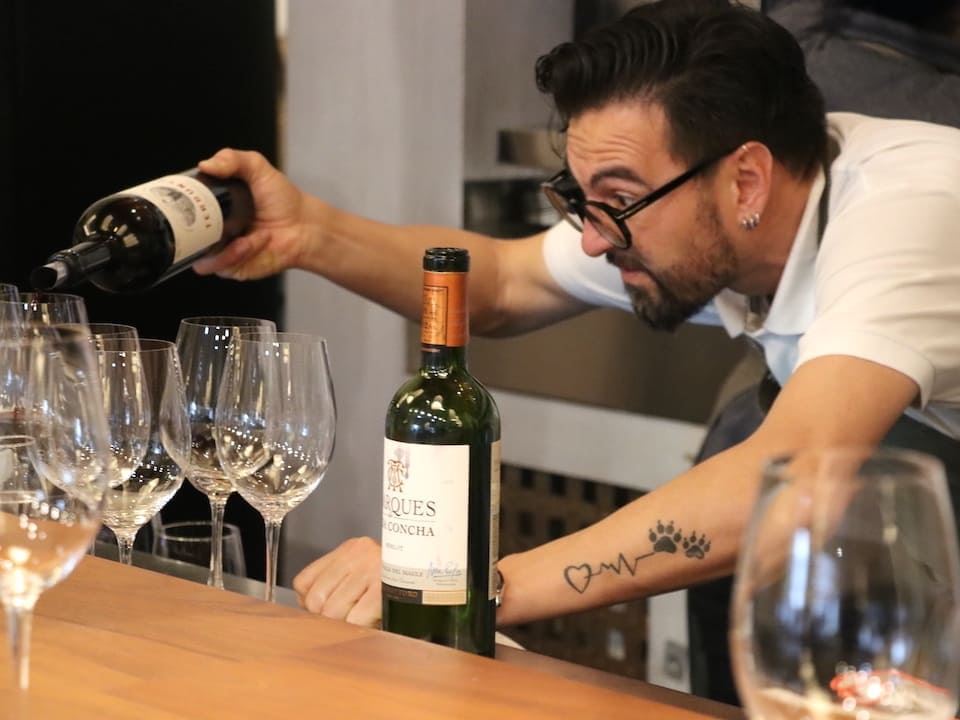 Tour Y Degustación A Viña Concha Y Toro (7)