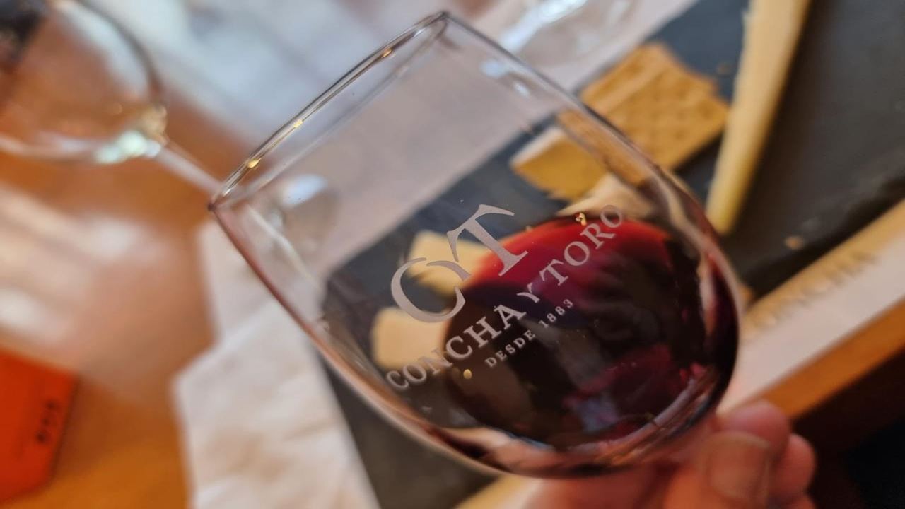 Tour Y Degustación A Viña Concha Y Toro (5)