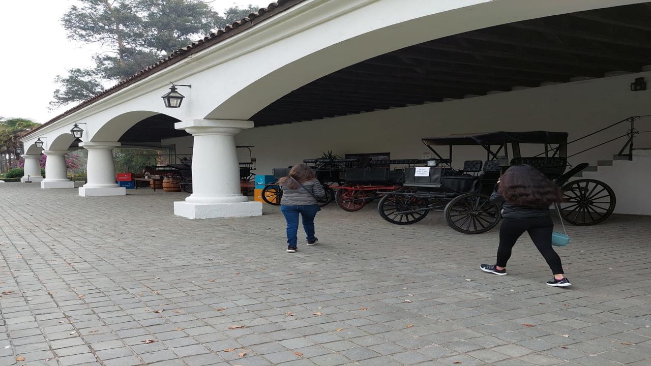 Undurraga Vineyard Tour And Tasting From Santiago (12)