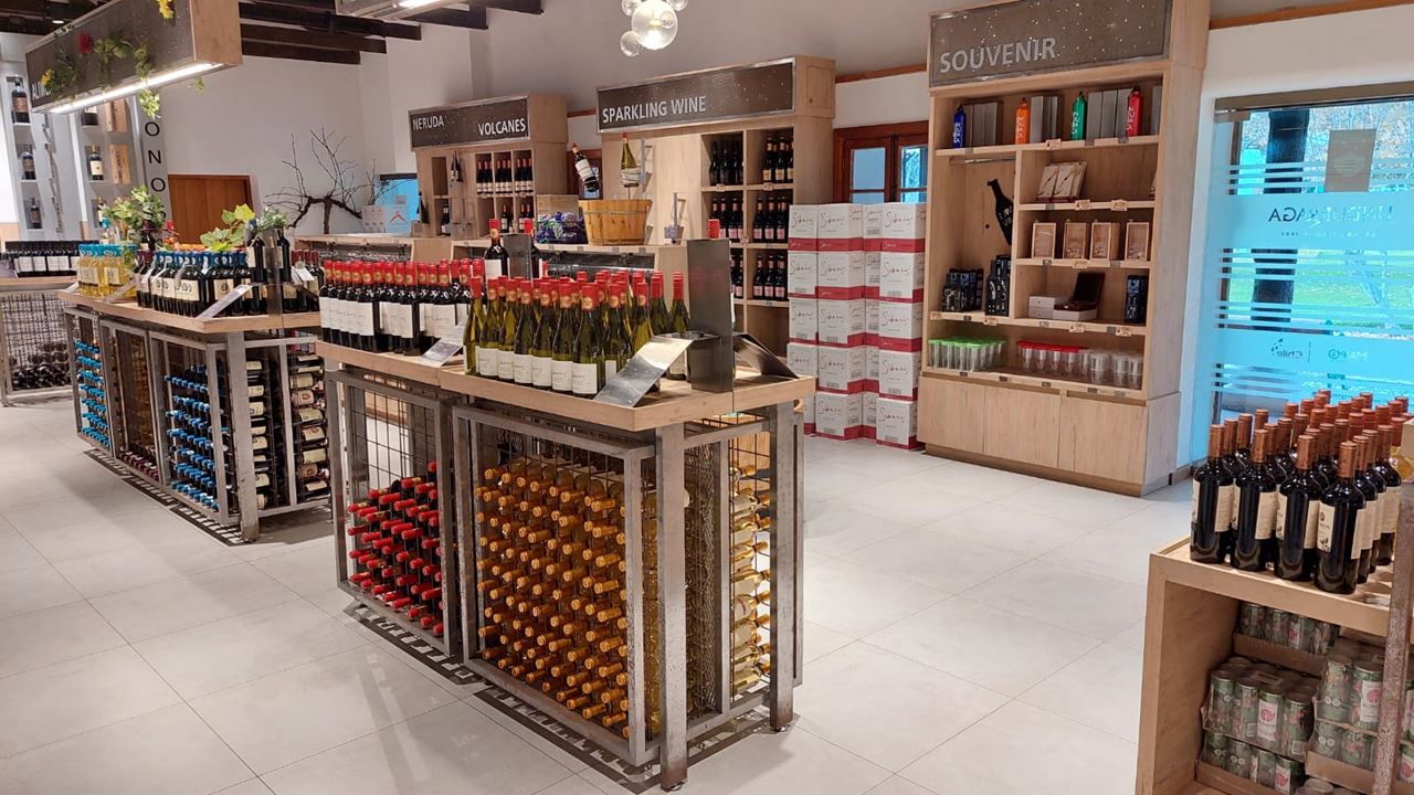 Undurraga Vineyard Tour And Tasting From Santiago (14)