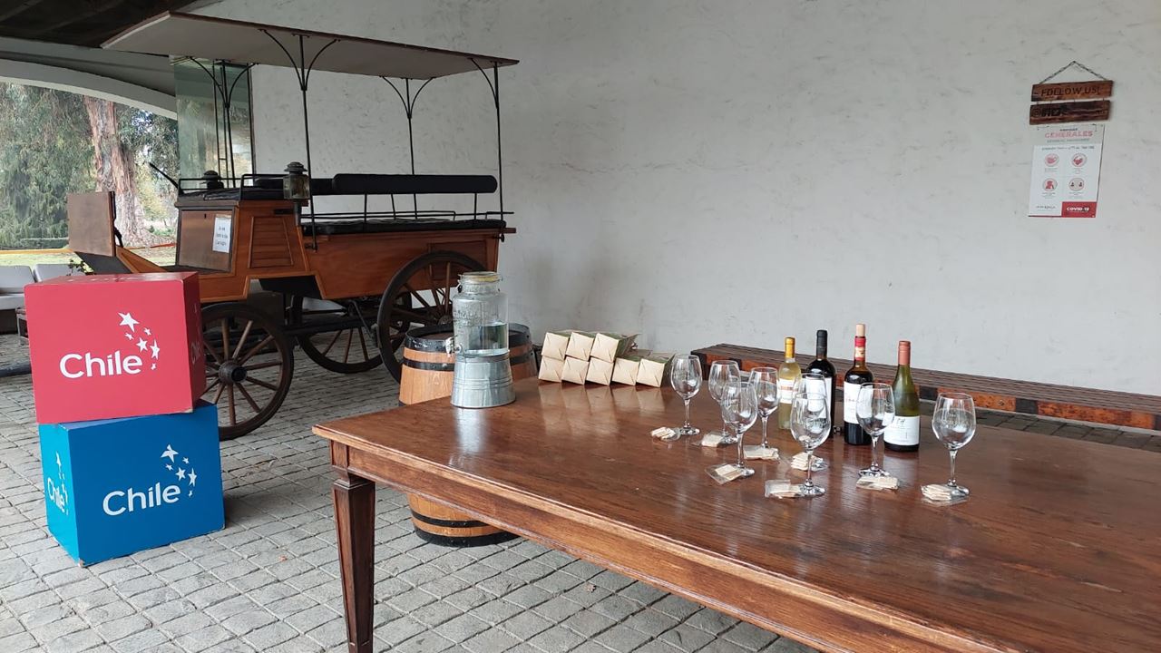 Undurraga Vineyard Tour And Tasting From Santiago (10)