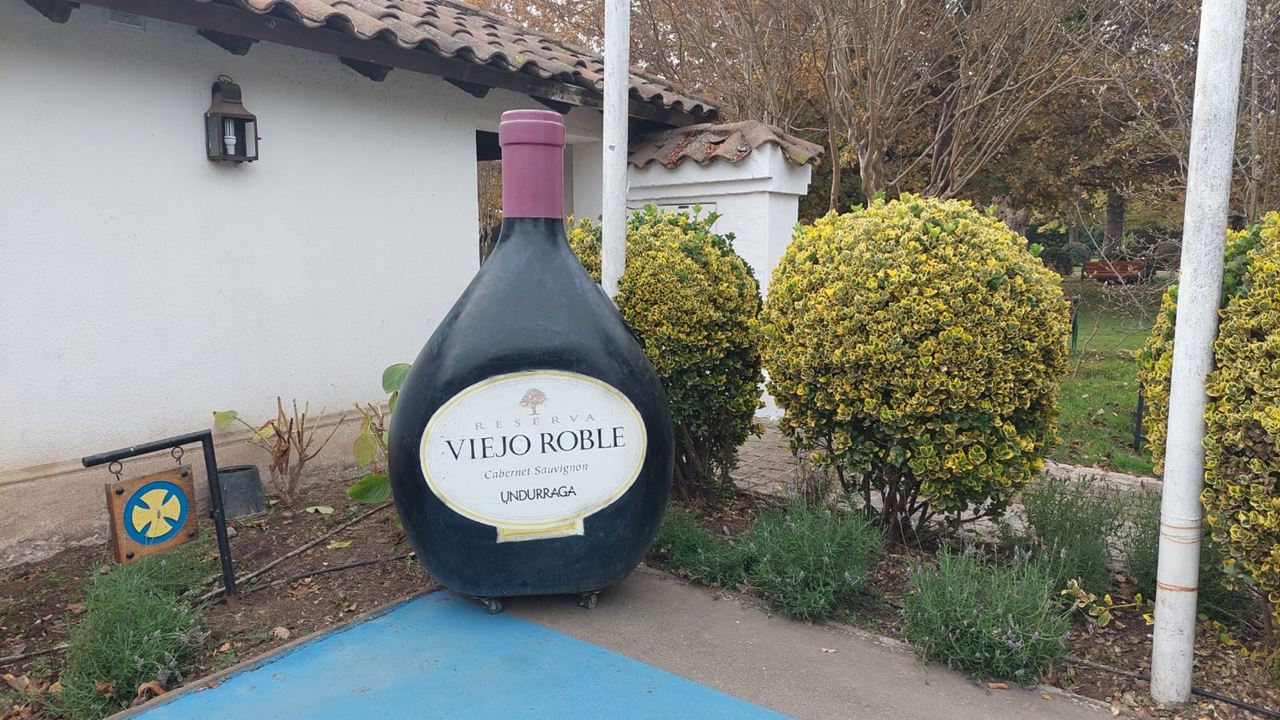 Undurraga Vineyard Tour And Tasting From Santiago (7)