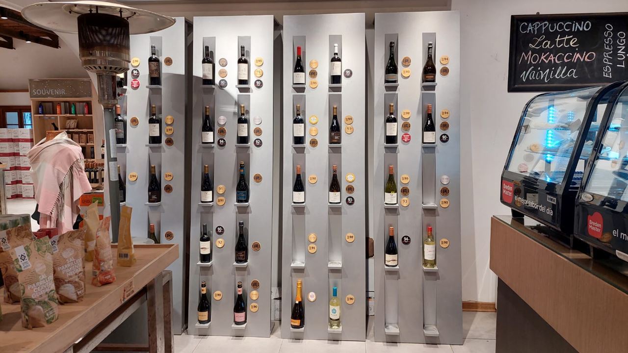 Undurraga Vineyard Tour And Tasting From Santiago (11)