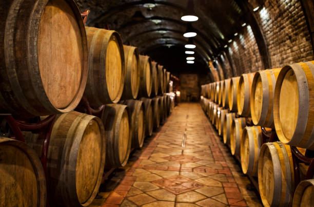 Undurraga Vineyard Tour And Tasting From Santiago (1)