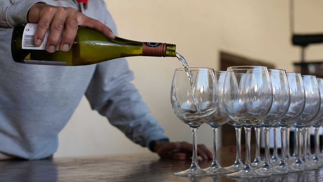 Undurraga Vineyard Tour And Tasting From Santiago (6)