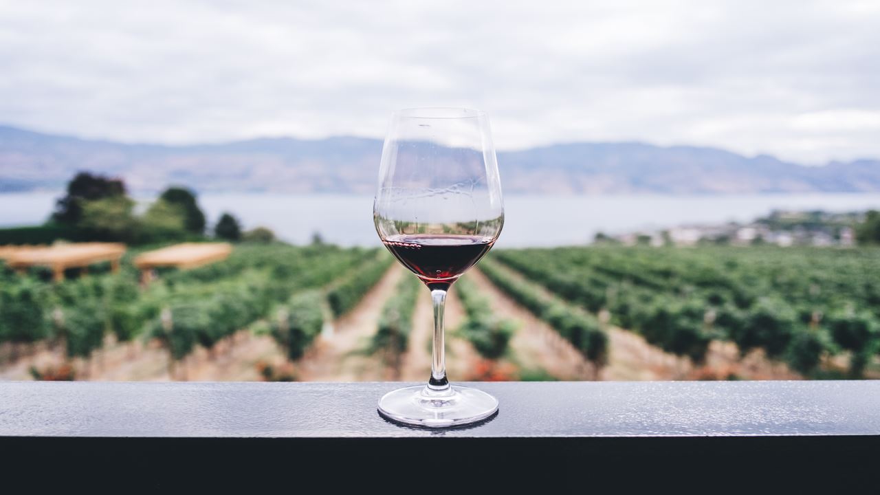 Undurraga Vineyard Tour And Tasting From Santiago (3)