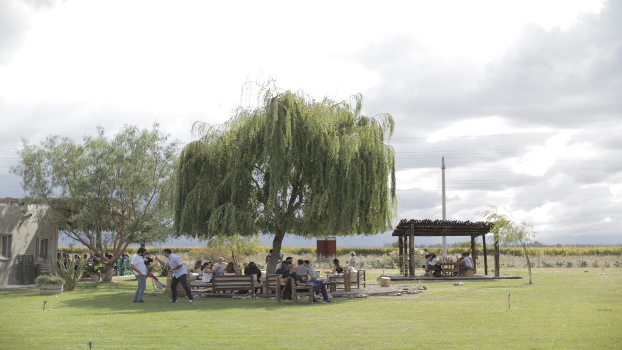 Wine Tasting And Tour At La Azul Boutique Winery (0)