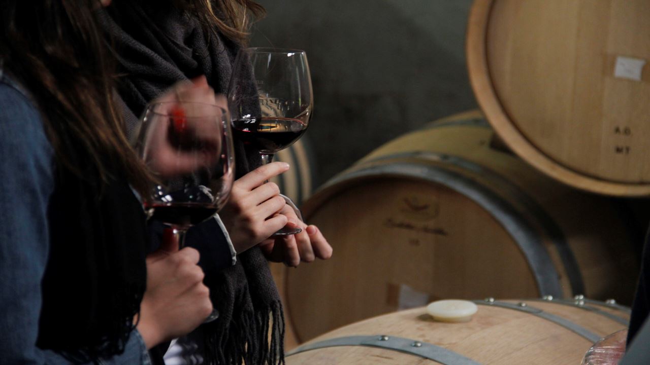 Wine Tasting And Tour At La Azul Boutique Winery (1)