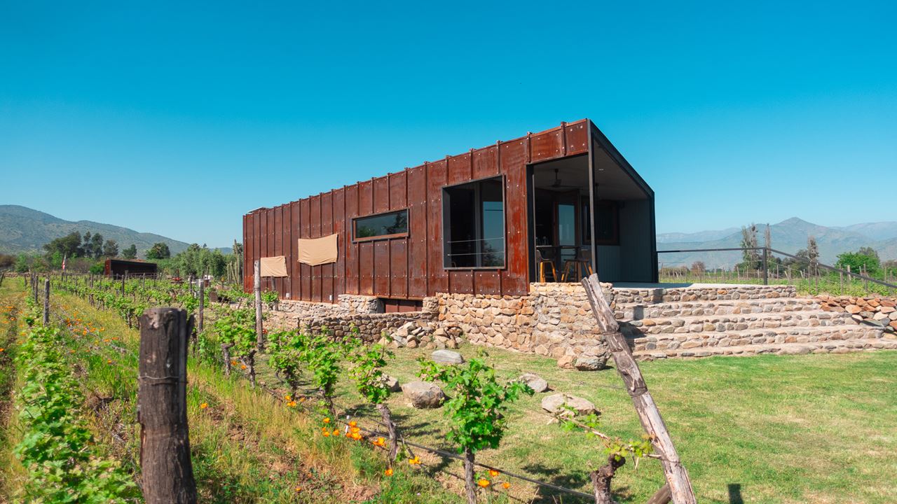 Tour E Degustação De Vinhos - Vinícolas Boutique Do Vale Do Maipo (4)