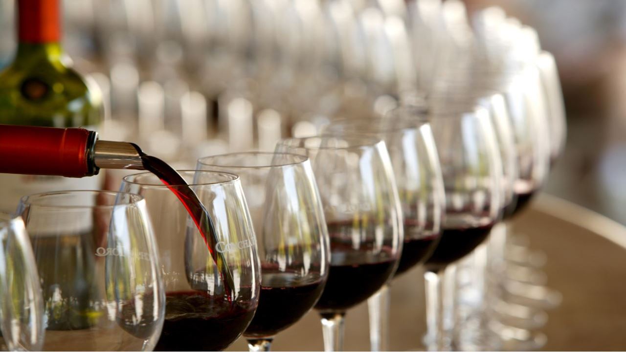 Tour E Degustação De Vinhos - Vinícolas Boutique Do Vale Do Maipo (3)