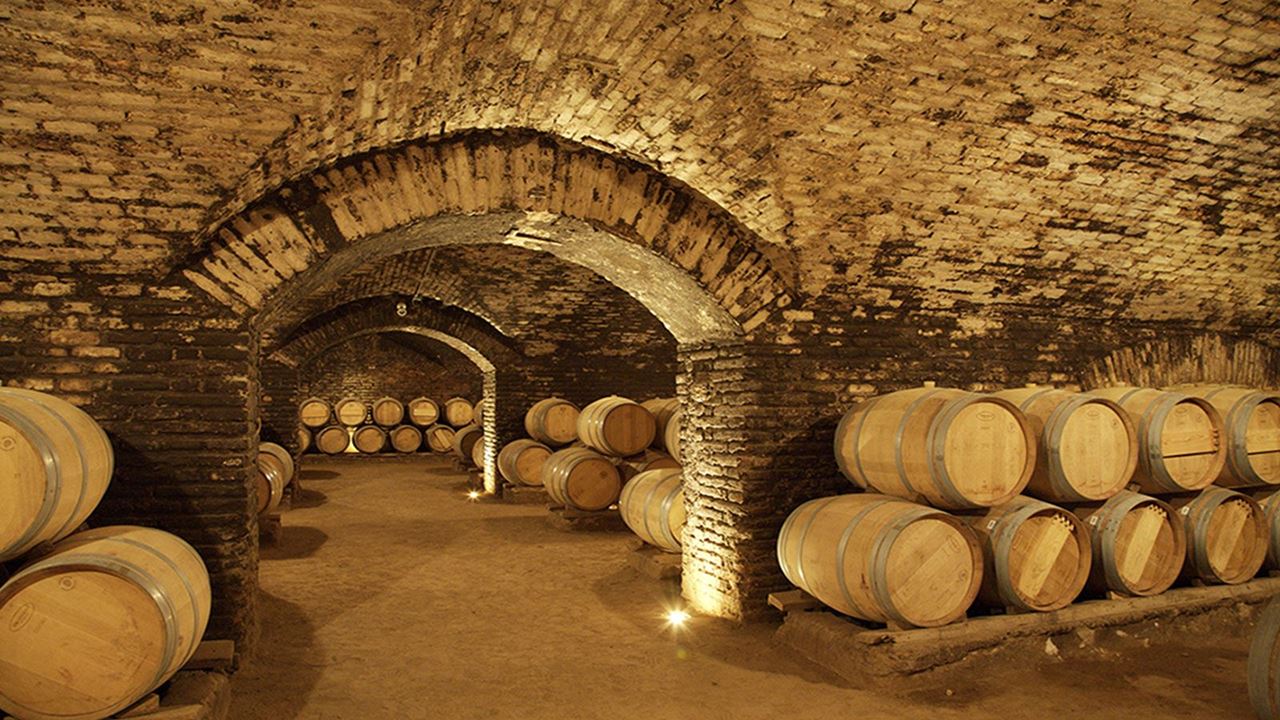 Tour E Degustação De Vinhos - Vinícolas Boutique Do Vale Do Maipo (2)