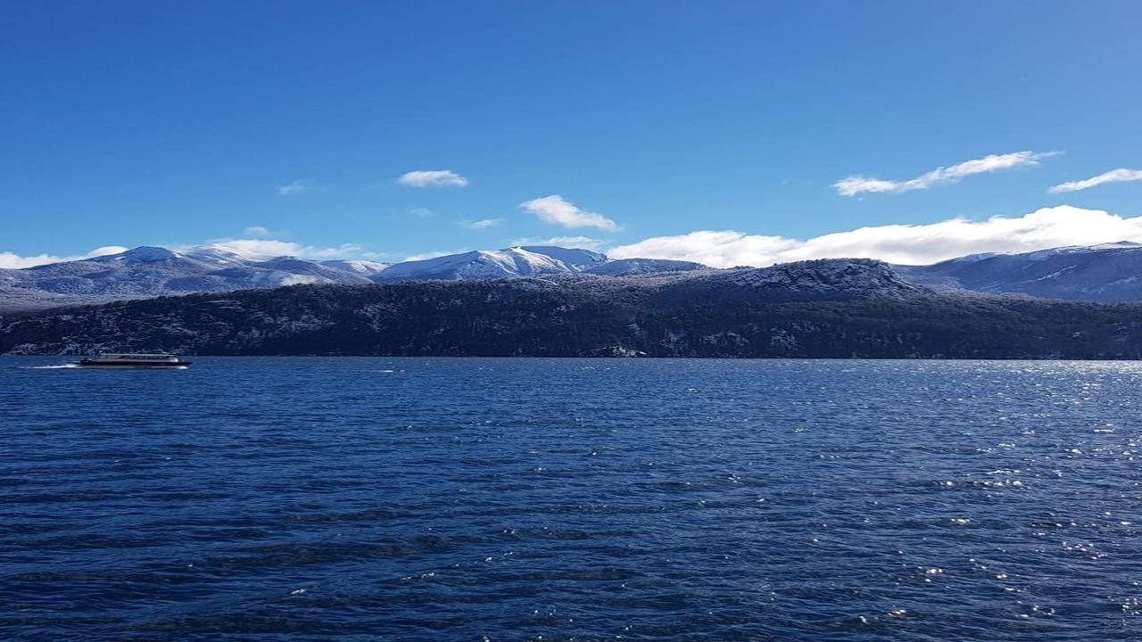 Transferência De Estágio Para Quilá Quina foto 7