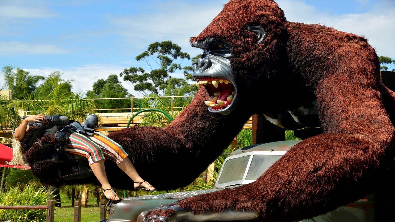 Transporte Al Parque Beto Carrero World foto 4