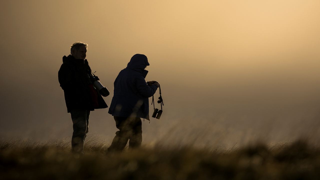 Seguindo O Rastro Do Puma foto 15