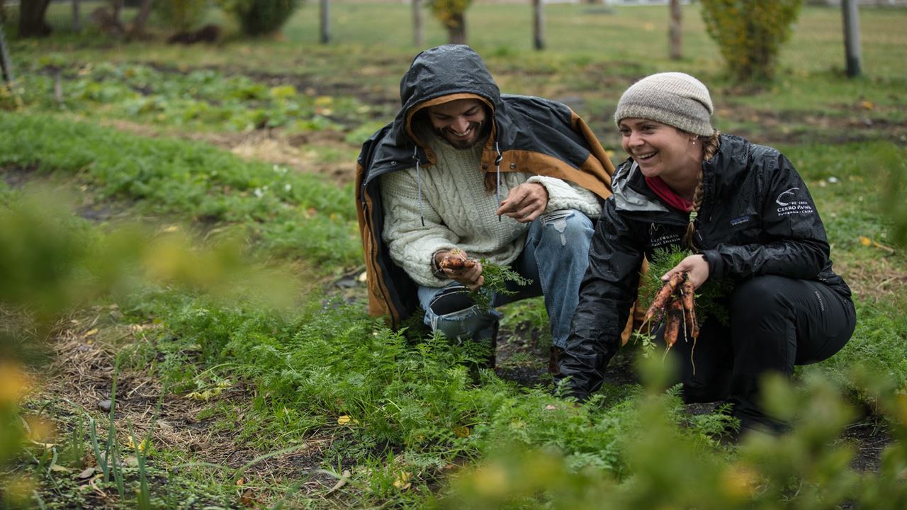 Seguindo O Rastro Do Puma foto 17