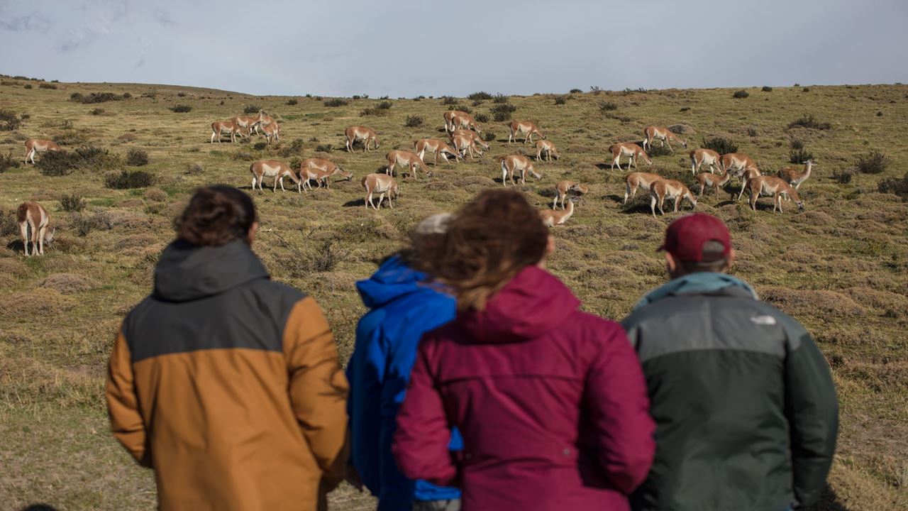Seguindo O Rastro Do Puma foto 18
