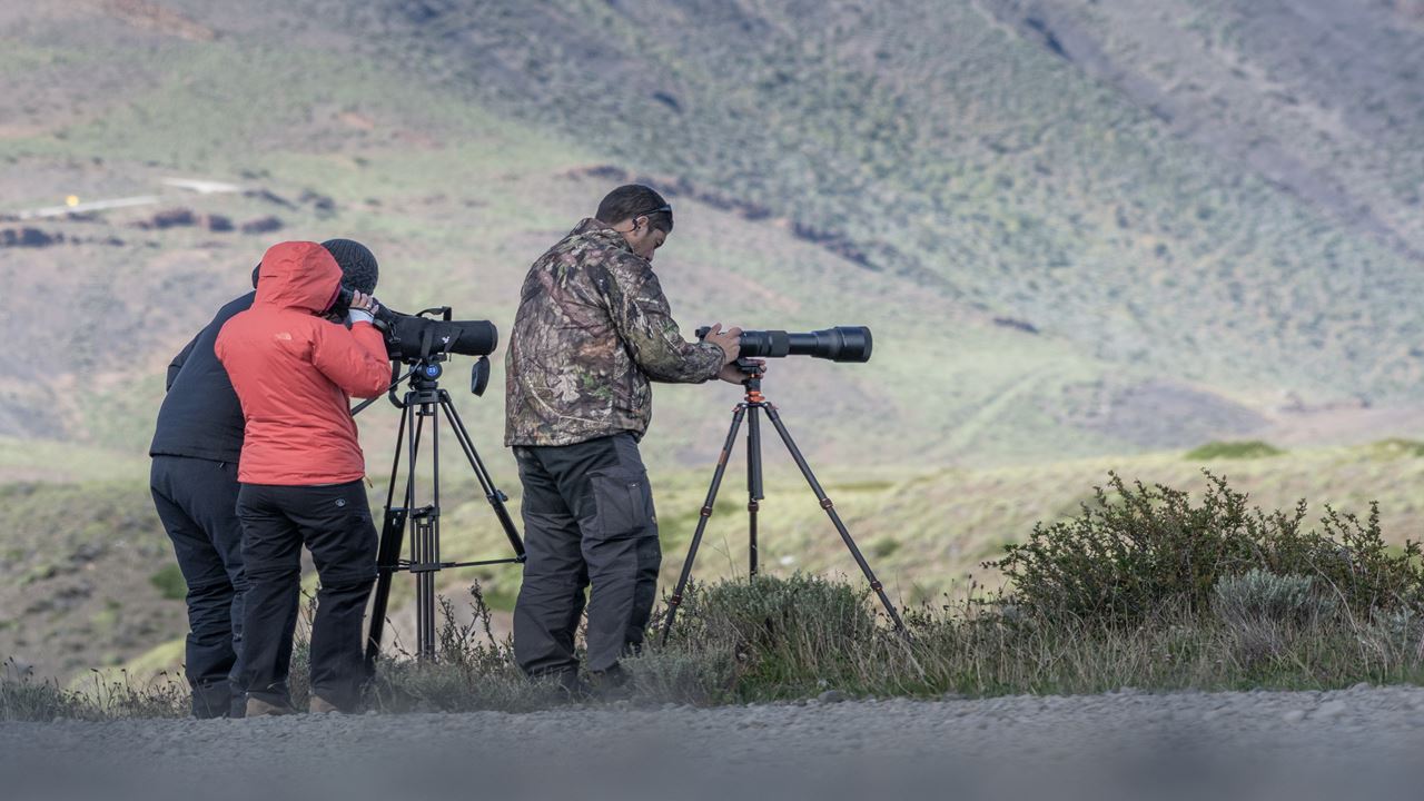 Seguindo O Rastro Do Puma foto 11