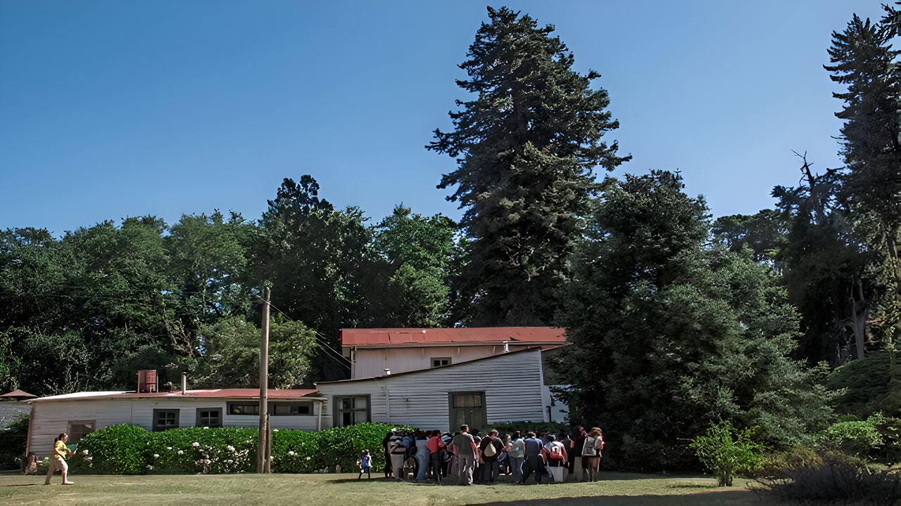 Travessia Para A Península De San Ramon Em Valdivia
 foto 9
