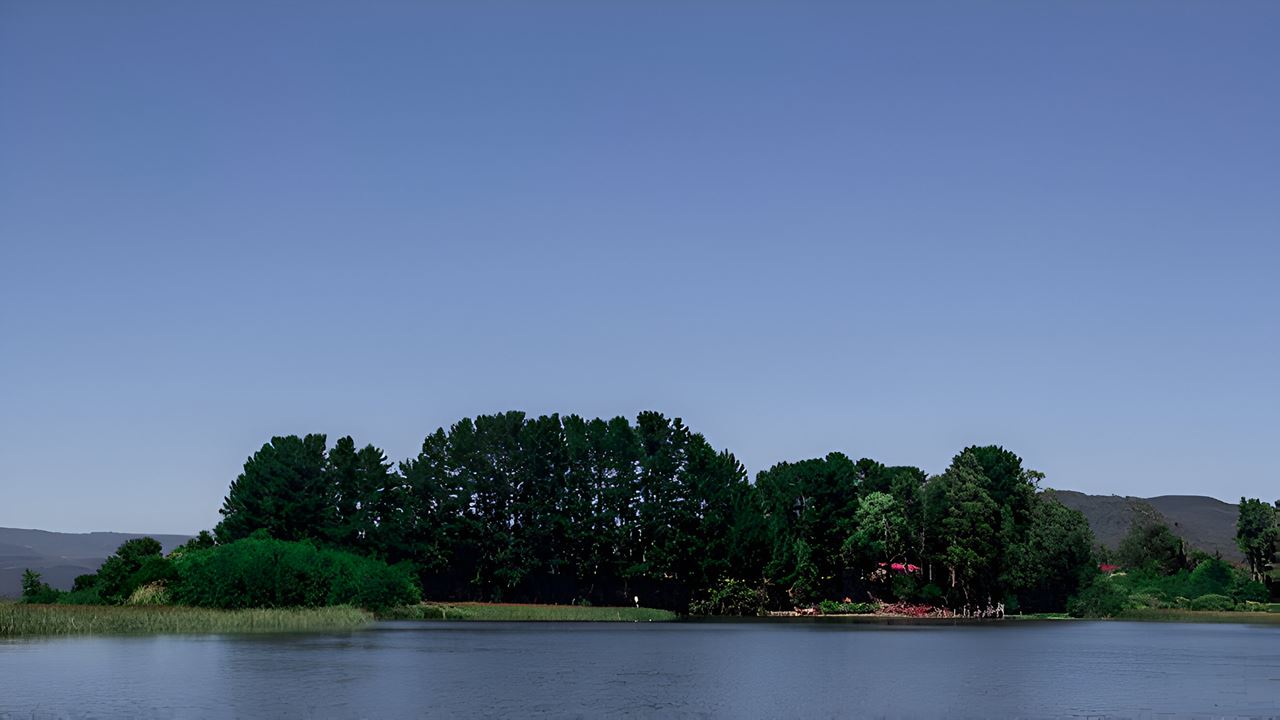 Travessia Para A Península De San Ramon Em Valdivia
 foto 8