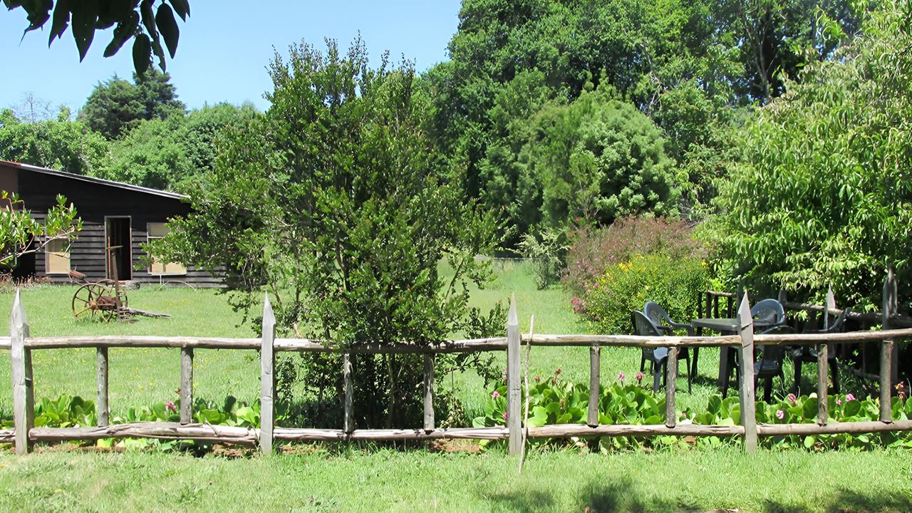 Travessia Para A Península De San Ramon Em Valdivia
 foto 11