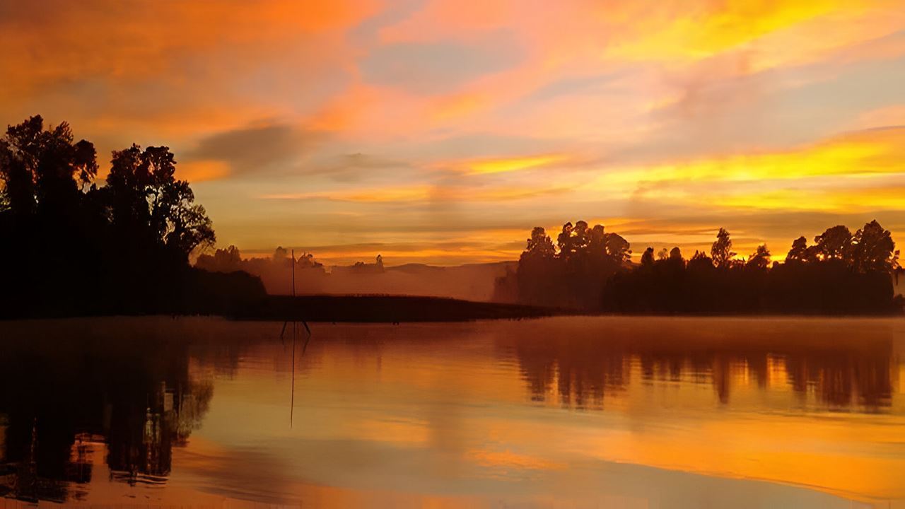 Travessia Para A Península De San Ramon Em Valdivia
 foto 6
