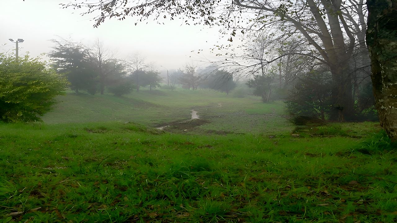 Travessia Para A Península De San Ramon Em Valdivia
 foto 3