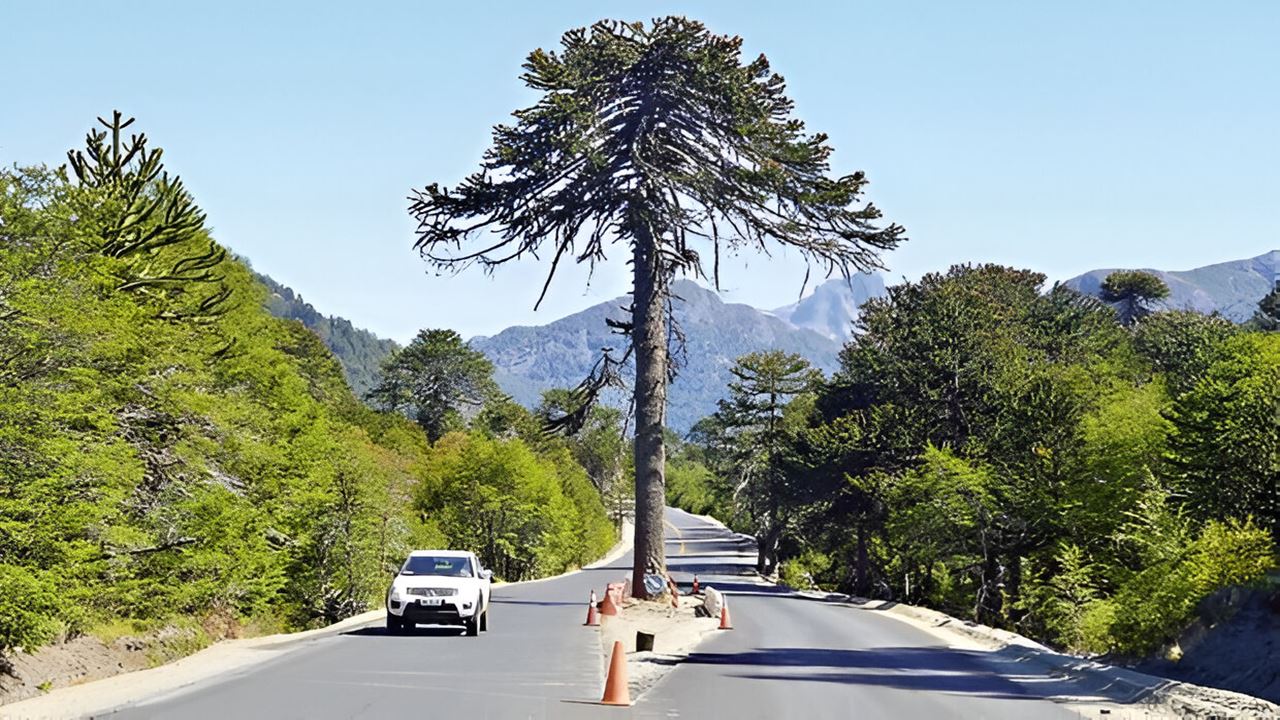 Viagem De Dia Inteiro De Pucon A San Martin De Los Andes foto 6