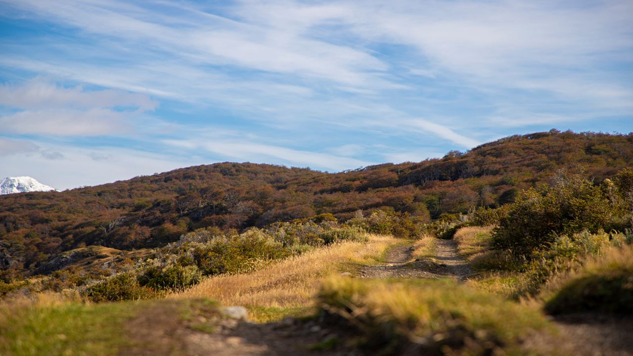 Trekking To Estancia Tunel (4)