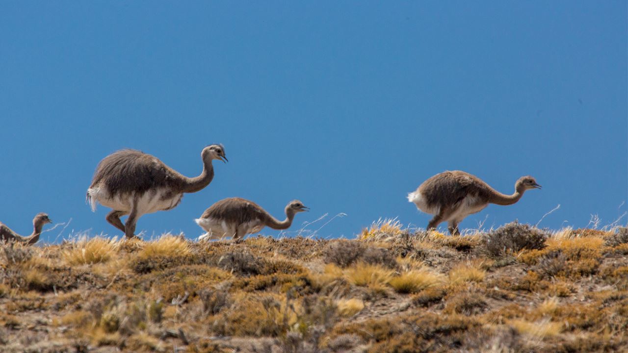 Cueva De Las Manos Trekking foto 8