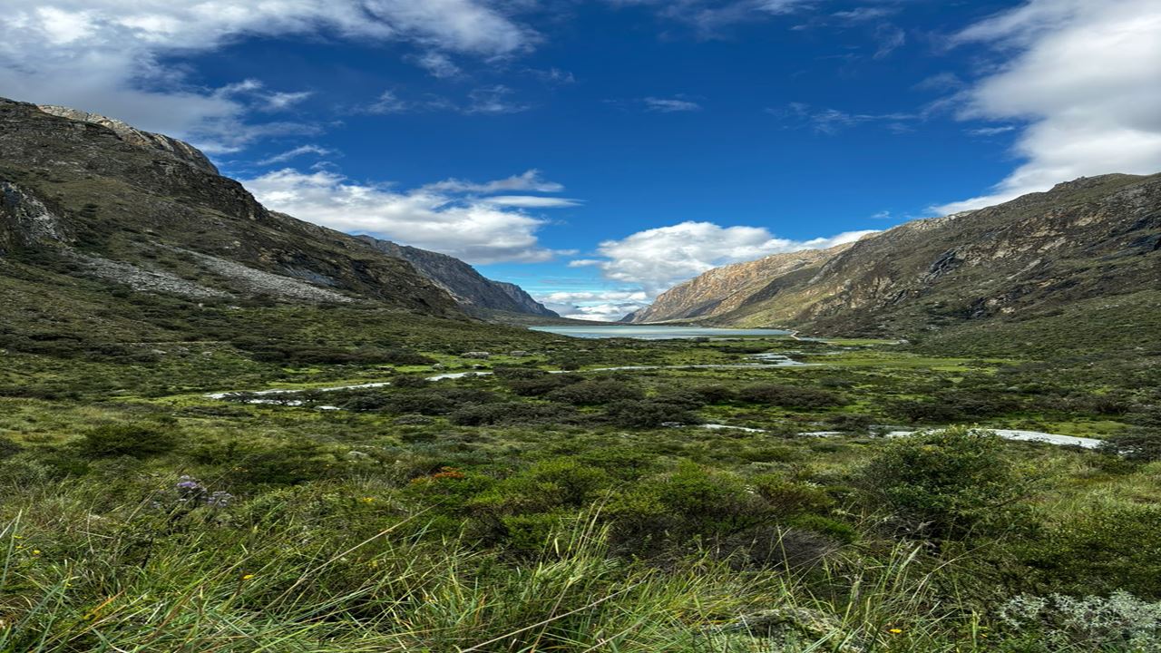 Lake 69 Trek Day Tour - White Mountain Range foto 9