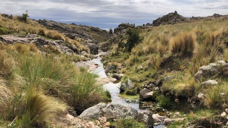 Trekking Até O Passo Garay foto 12